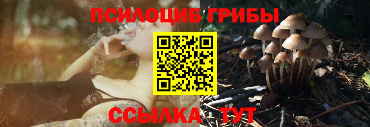 купить наркоту  Псилоцибиновые грибы Psilocybe  Псилоцибиновые грибы мицелий  Вход с VPN  Корсаков 
