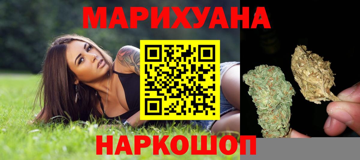 Канабис планчик Корсаков